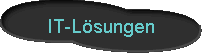  IT-L�sungen 