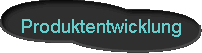  Produktentwicklung 