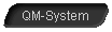  QM-System 